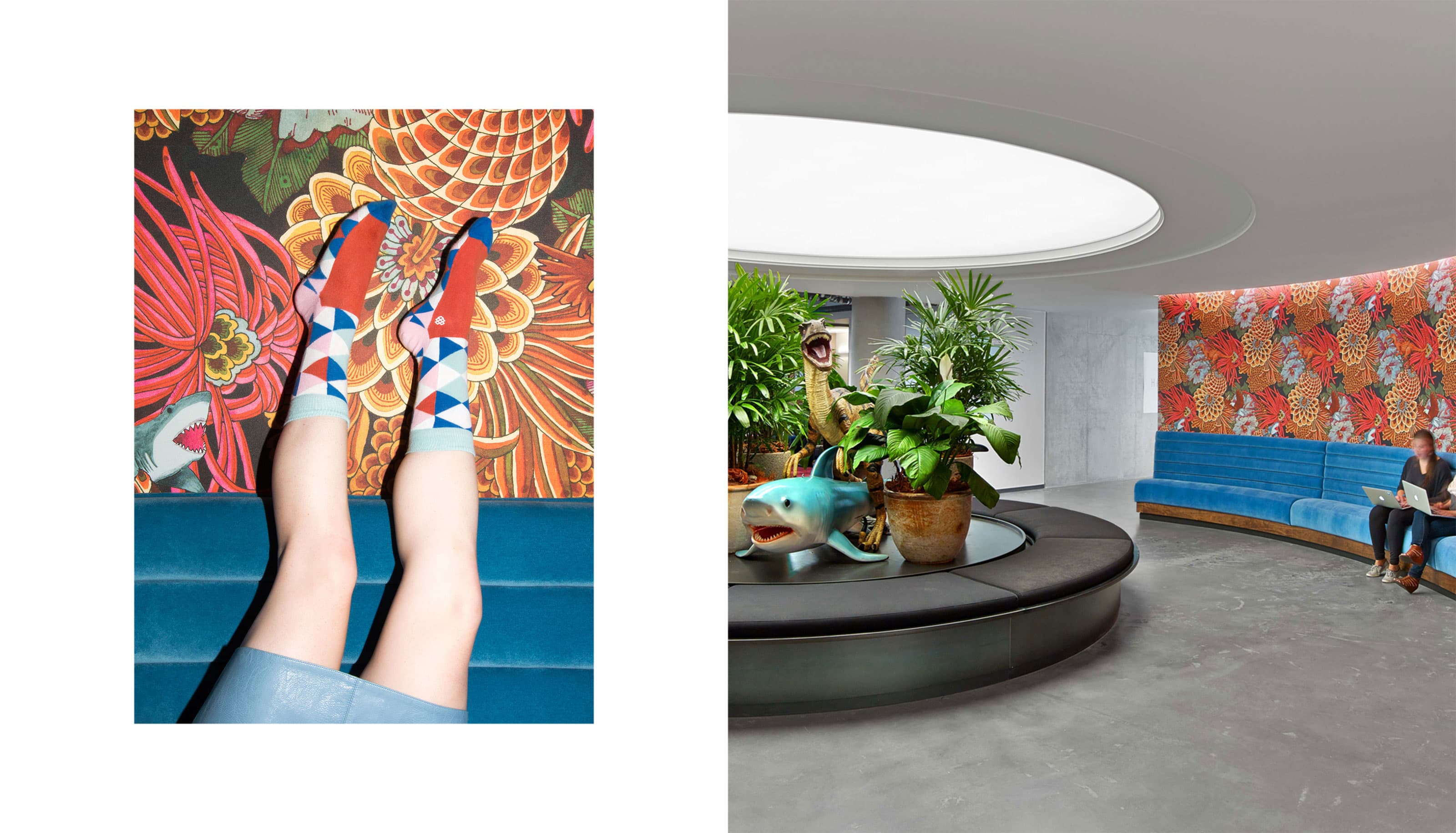 Dropbox Socks&Wallpaper